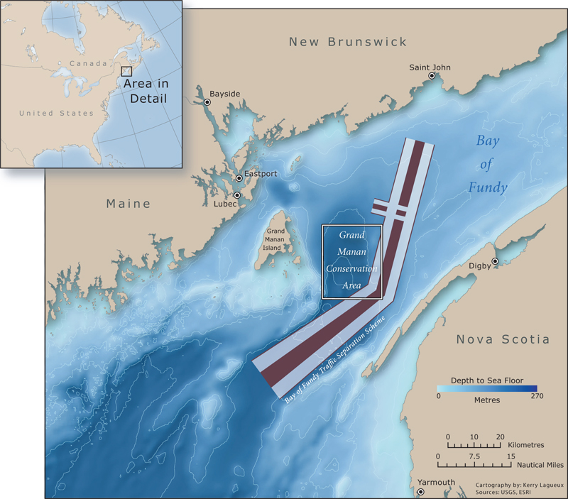 Ocean Explorations Whale Watching grounds