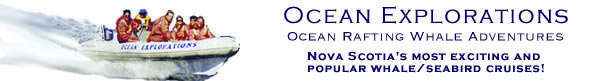 Ocean Explorations Zodiac Whale Watching Adventures